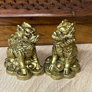 Пара Ци Линь