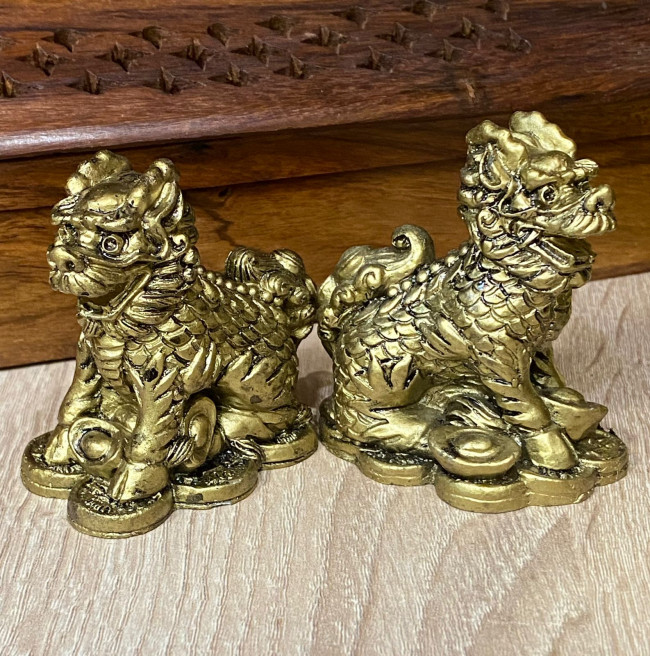 Пара Ци Линь