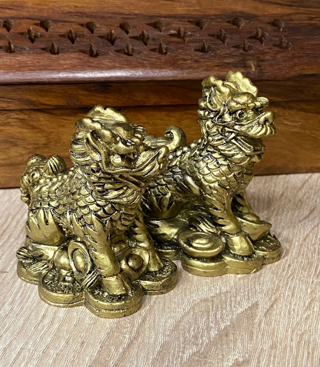 Пара Ци Линь