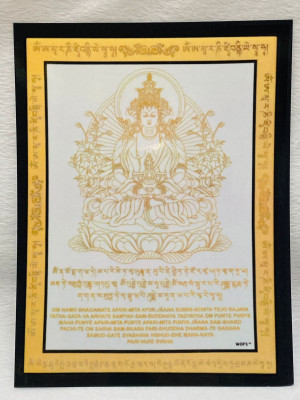 Ламинированная табличка "Амитая" Ламинированная табличка "Амитая"