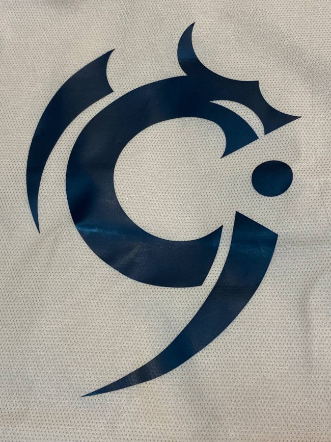 Сумка-шопер фен-шуй "Девять драконов" (45*30см)