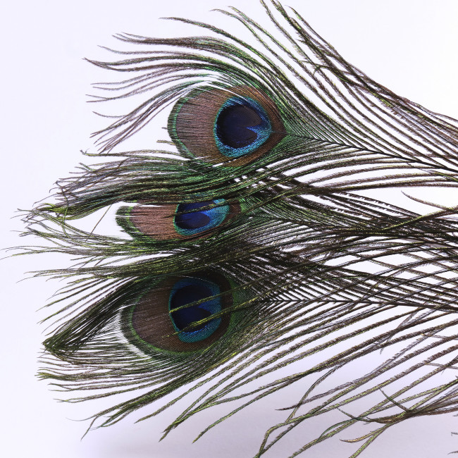 Перо павлина для удачи 3 шт Перо павлина для удачи 3 шт