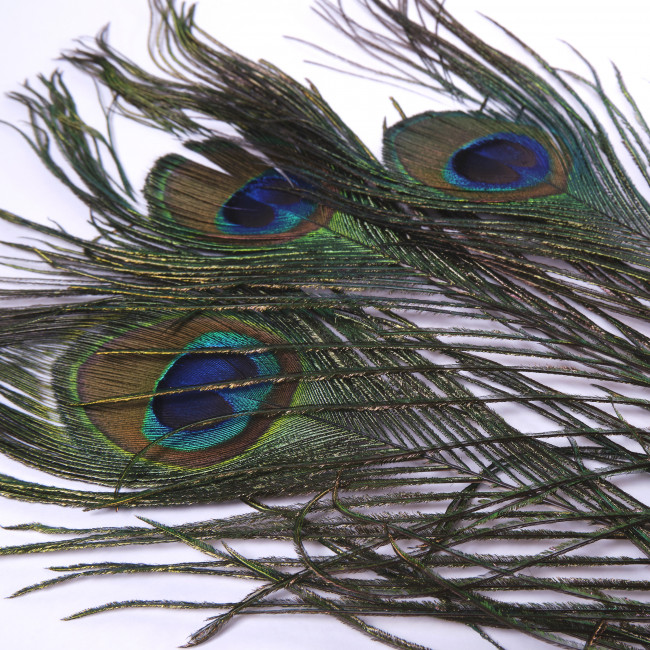 Перо павлина для удачи 3 шт Перо павлина для удачи 3 шт